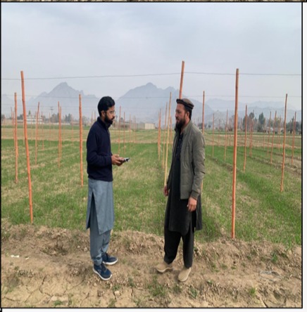 KP-RIISP project photo 11